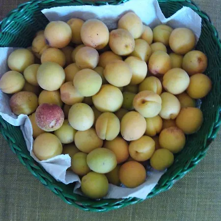 Quintal Bed & Breakfast Noci