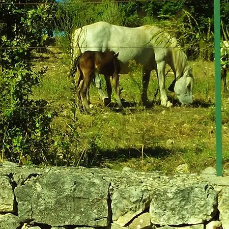 Bed & Breakfast Quintal Noci